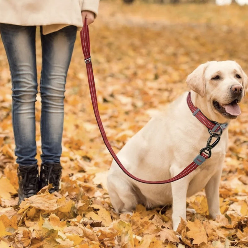 DOCO® VARIO Reflective Dog Leash
