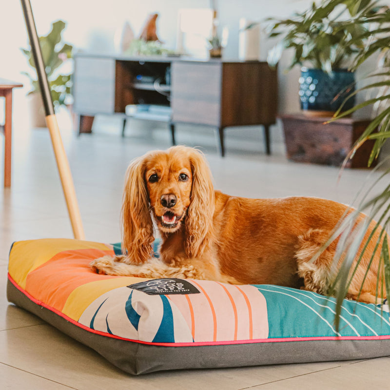 Dog's Life Outdoor Box Pad Pillow Bed