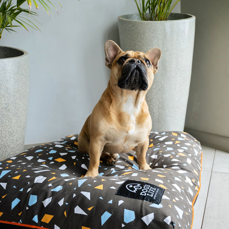 Dog's Life Outdoor Box Pad Pillow Bed