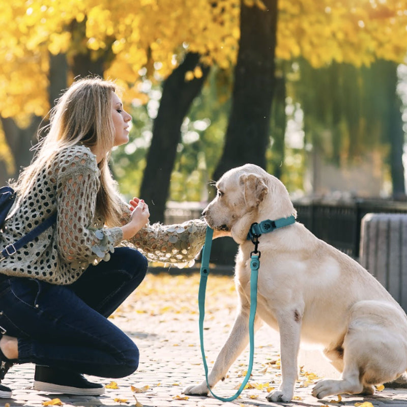 DOCO® Jelly Bean Waterproof Dog Leash