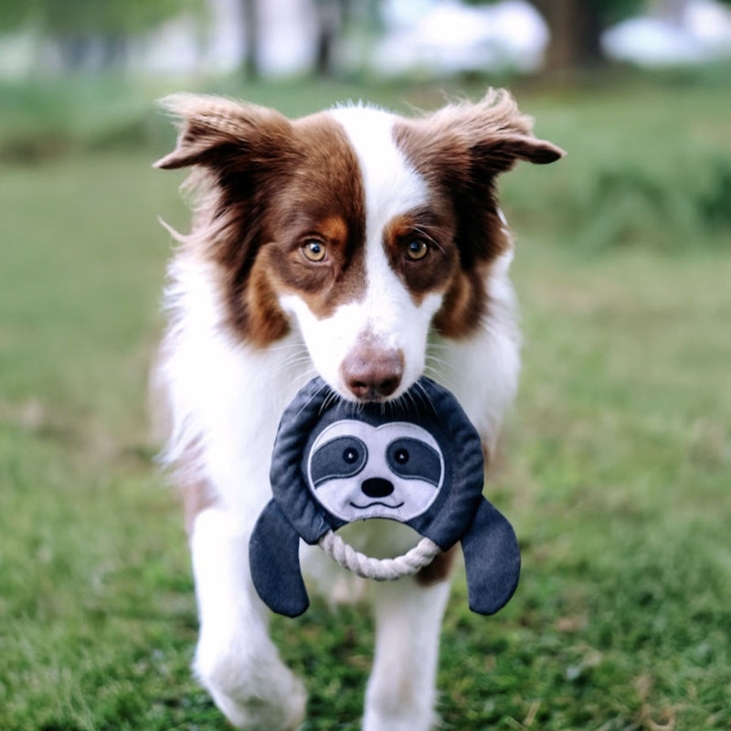 Zugo Frisbee Sloth Plush Toy
