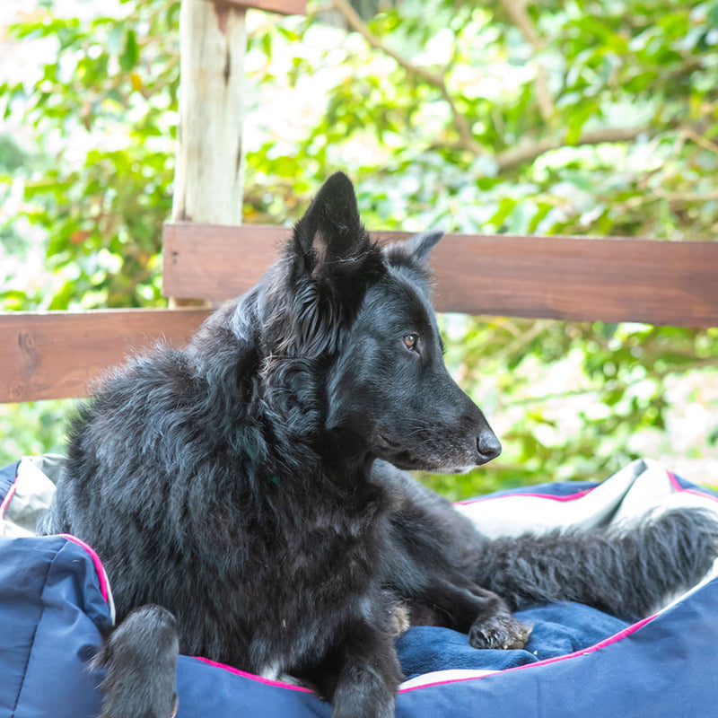 Dog's Life Premium Country Dog Bed