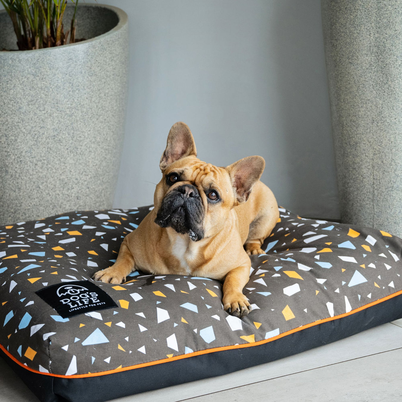 Dog Beds & Blankets