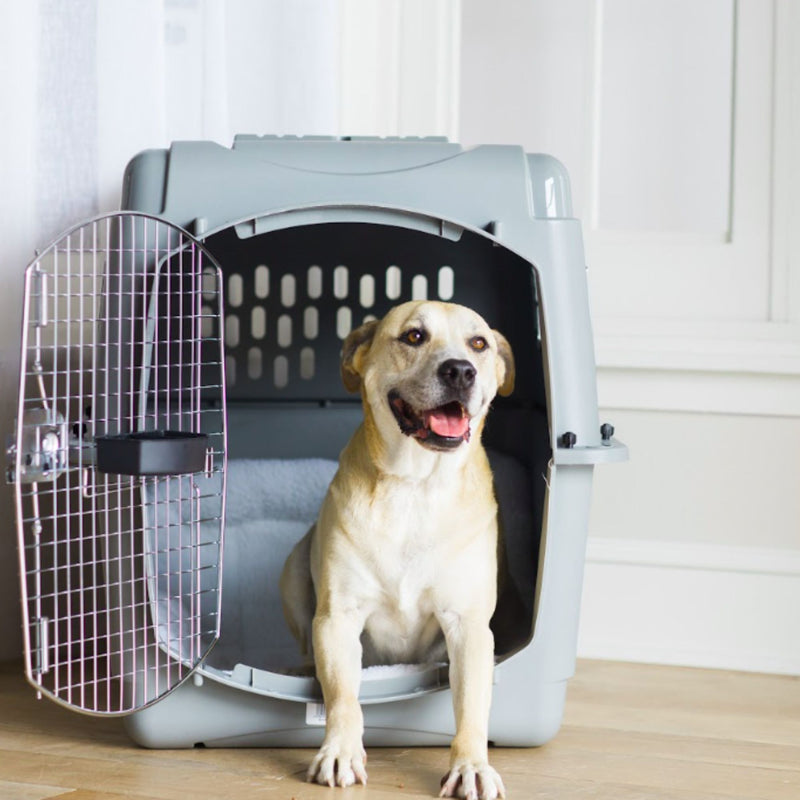 Petmate Sky Kennel – IATA-Compliant Airline Pet Carrier