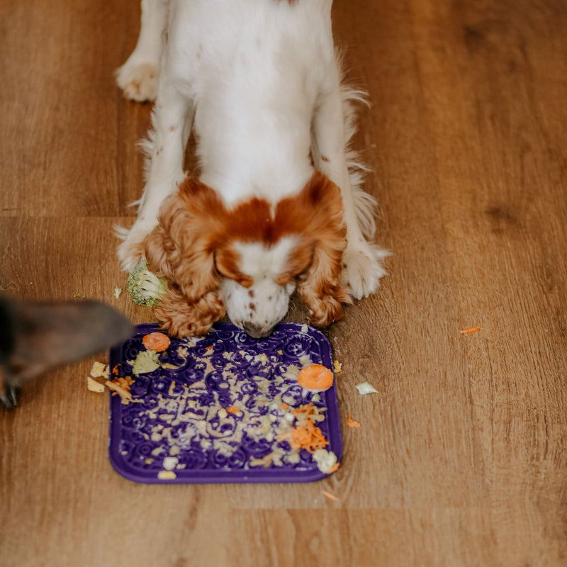Dog's Life Lickalot Puzzles Slow-Feeding Mat