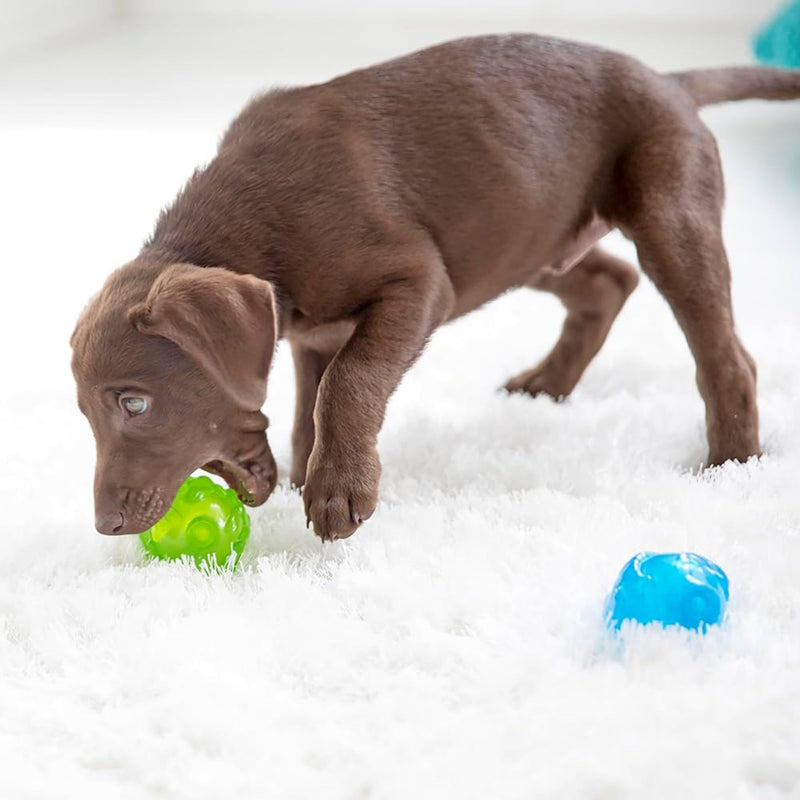 JW Pet Puppy Hedgehog Squeak-ee Ball