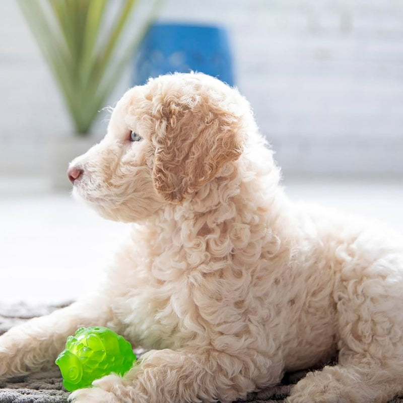 JW Pet Puppy Hedgehog Squeak-ee Ball