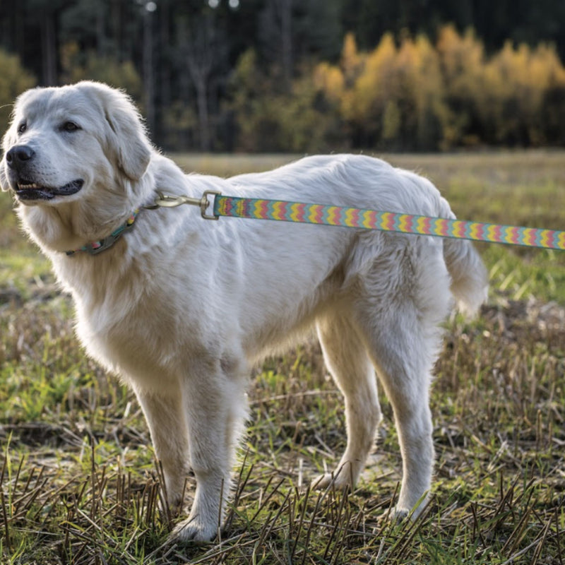 DOCO® Jacquard Weave Dog Leash Collection