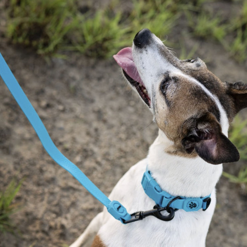 DOCO® Jelly Bean Waterproof Dog Leash