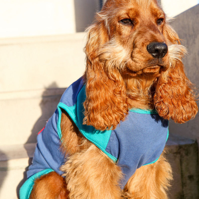 Dog's Life "My Dad is Addicted to Fries" Doggy Tee Cotton Dog Shirt