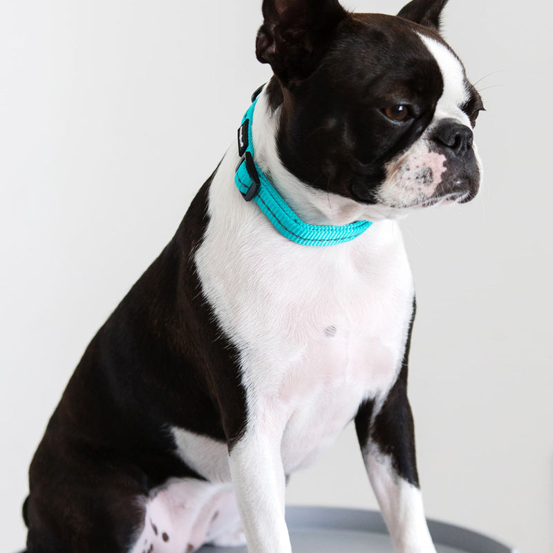 Dog's Life Supersoft Designer Webbing Comfortable & Reflective Dog Collar