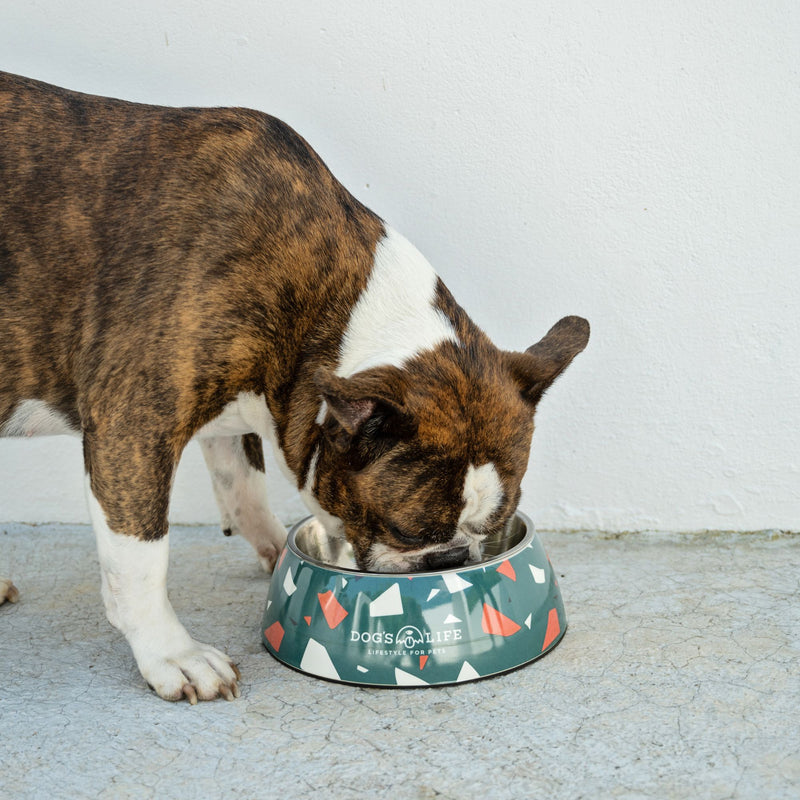 Dog's Life Stainless Steel Melamine Dog & Cat Bowl