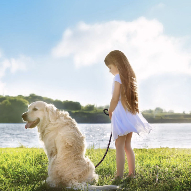 DOCO® Reflective Rope Dog Leash