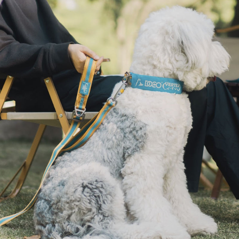 DOCO® Vertex Double Handle Dog Leash