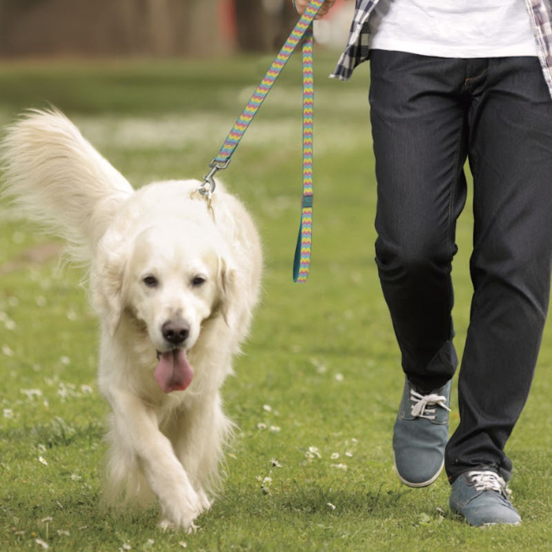 DOCO® Jacquard Weave Dog Leash Collection