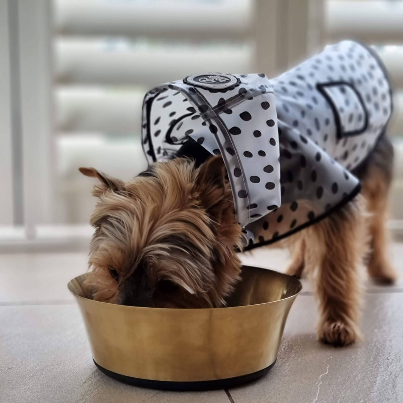 Dog's Life Stainless Steel Dog & Cat Bowl