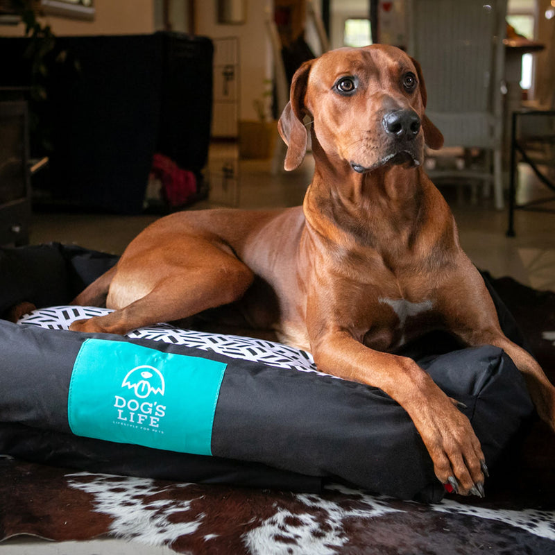 Dog’s Life Urban Lounger Dog Bed – Waterproof & Removable Cover