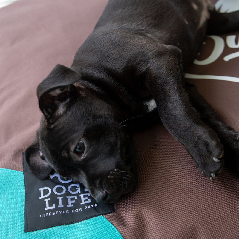 Dog's Life Outdoor Adventures Dog Pillow Bed