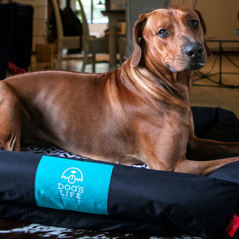 Dog’s Life Urban Lounger Dog Bed – Waterproof & Removable Cover