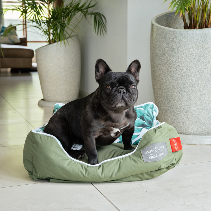 Dog’s Life Couch Napper Dog Bed