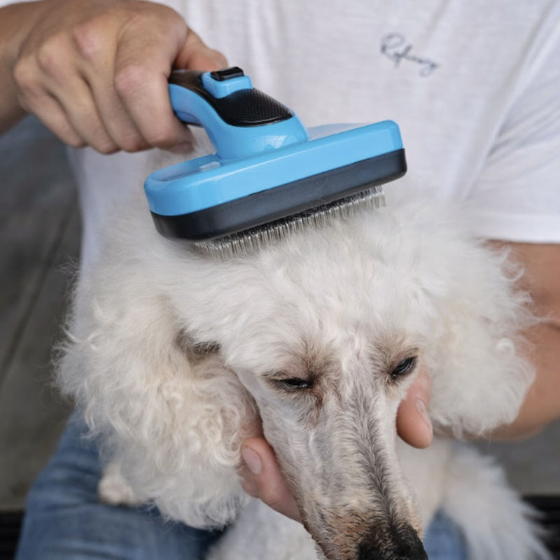 Zugo® Slick Brush Range