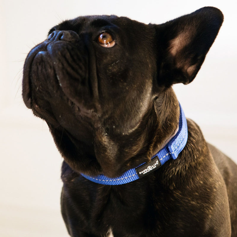 Reflective Supersoft Webbing Neoprene Collar