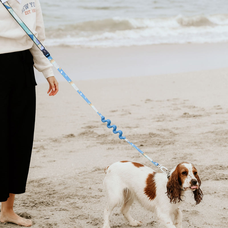 Dog's Life Multi-Purpose Hands-Free Leash – Shock Absorbing & Adjustable