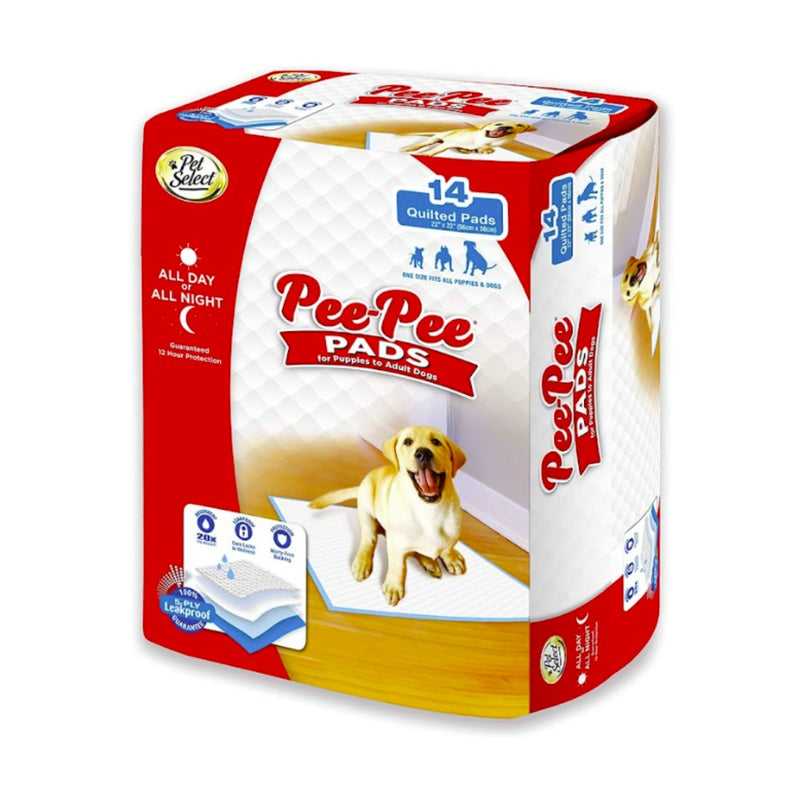 Wee-Wee Pee Pee Everyday Dog Training Pads