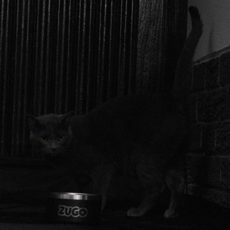 Zugo® ZuBowl Stainless Steel Dog Bowl