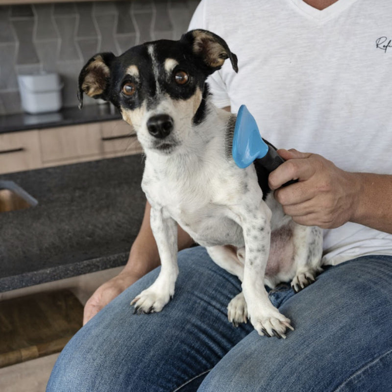 Zugo® Slick Brush Range