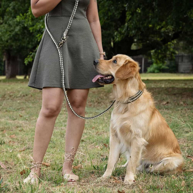 Lead with Love Hands-Free Dog Lead