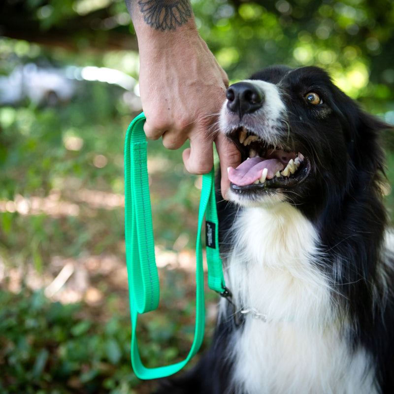 Dog's Life Supersoft Designer Webbing Leash