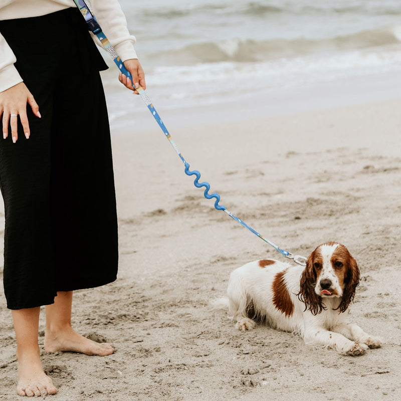 Dog's Life Multi-Purpose Hands-Free Leash – Shock Absorbing & Adjustable