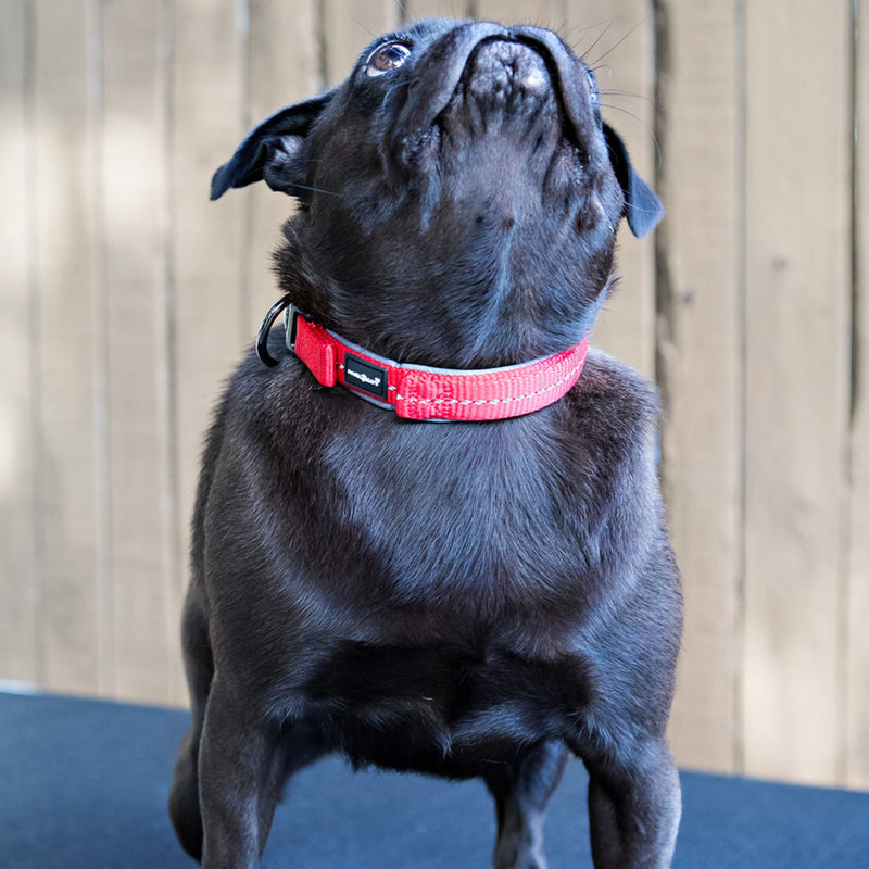 Reflective Supersoft Webbing Neoprene Collar