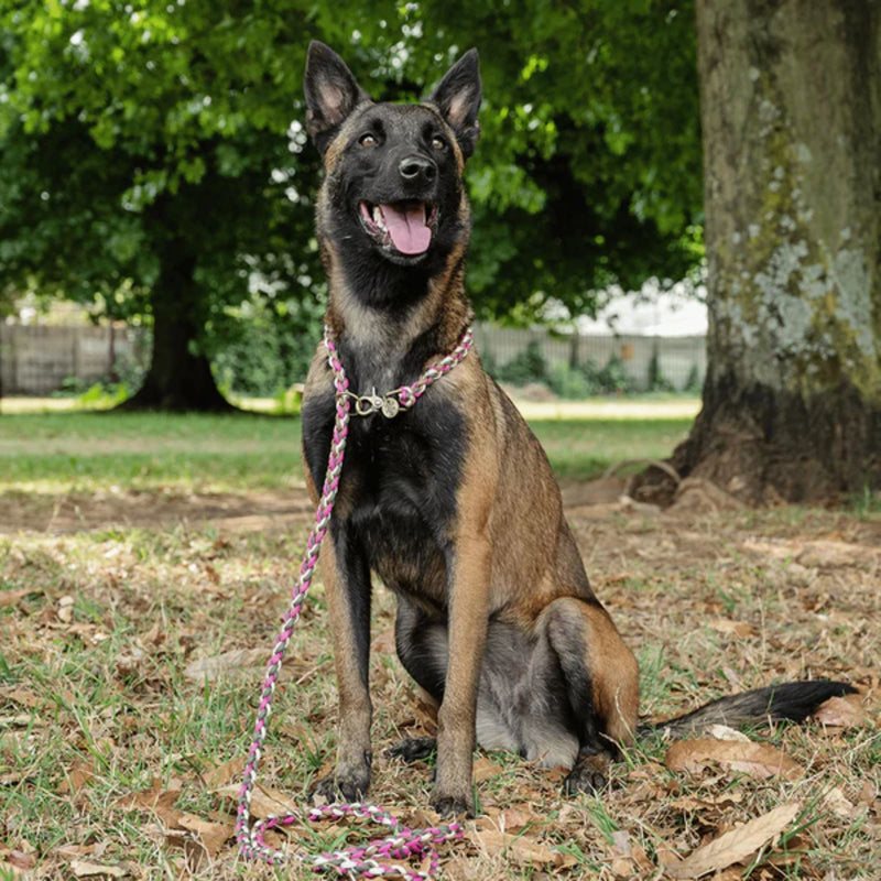 Lead with Love Hands-Free Dog Lead