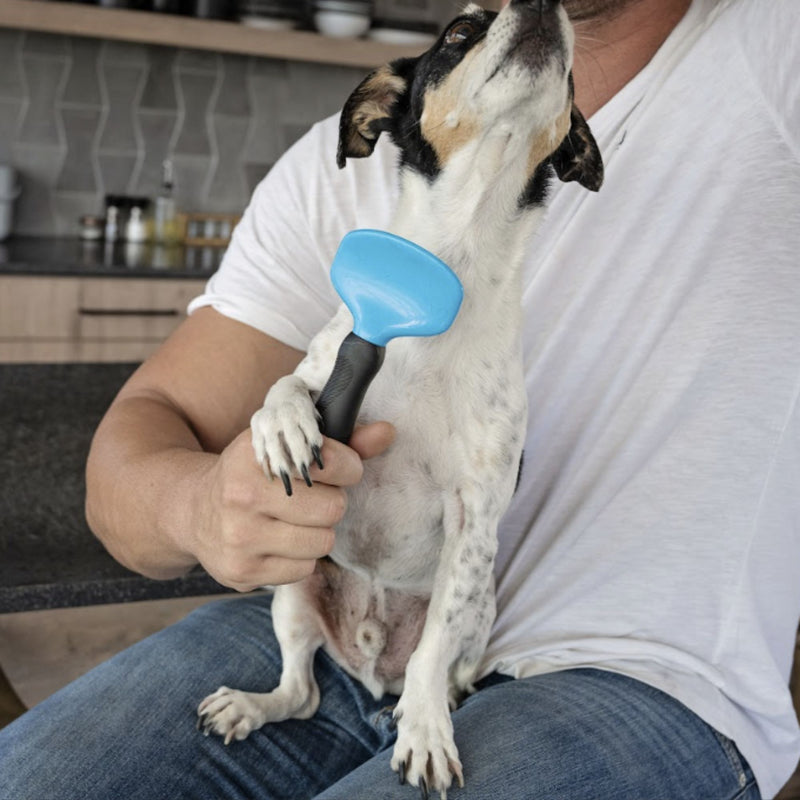 Zugo® Slick Brush Range