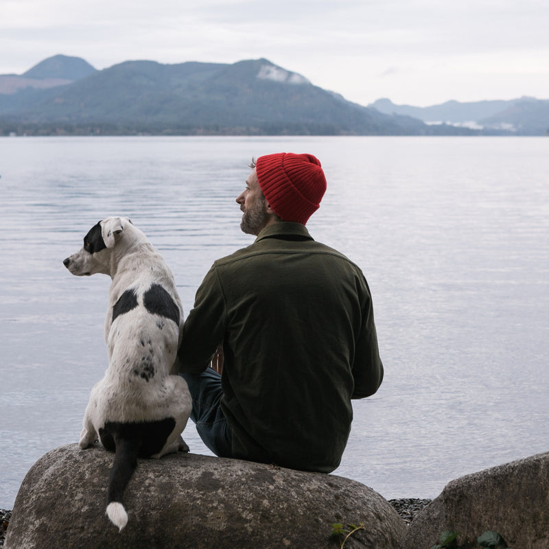 ORIJEN™ Six Fish Dog – Complete Dry Food for Dogs of All Breeds & Lifestages