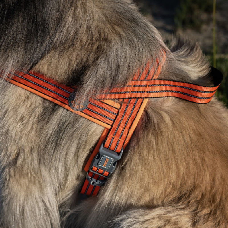 DOCO® VARIO Neoprene Dog Harness