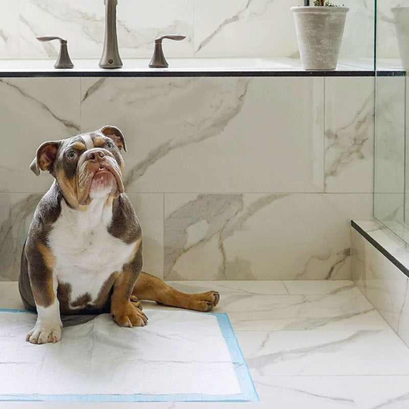 Wee-Wee Superior Performance Dog Training Pad