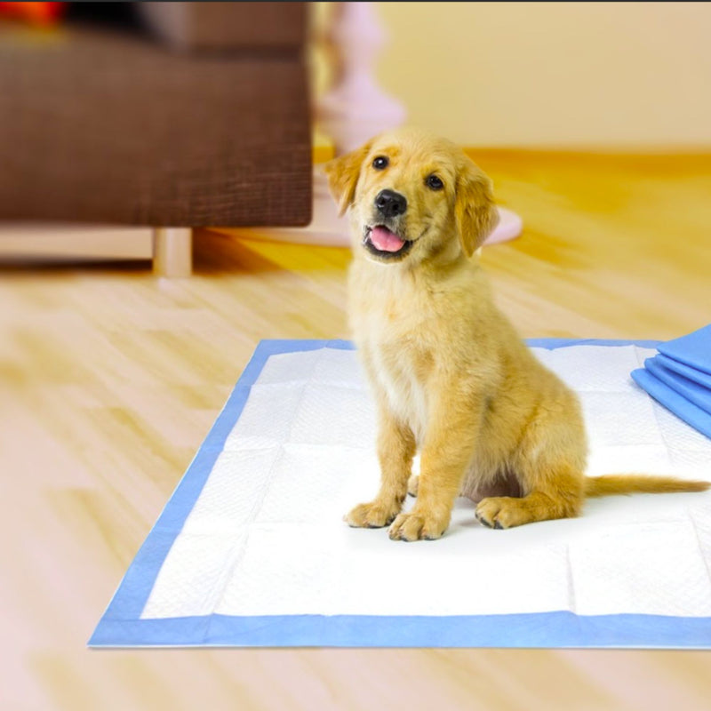 Wee-Wee Superior Performance Dog Training Pad