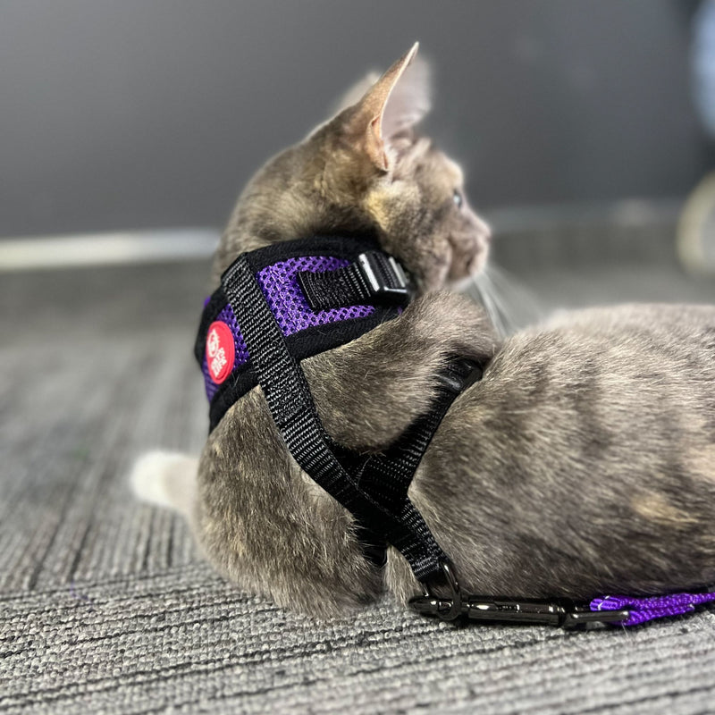 Cat's Life Mini Soft Harness for Cats with Velcro & Leash