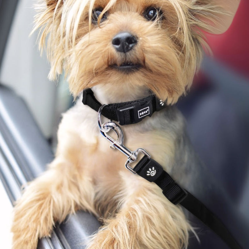 DOCO® Signature Nylon Dog Seat Belt Leash