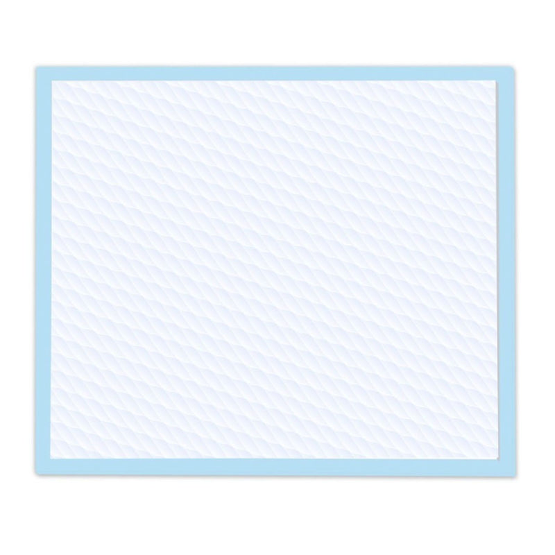 Wee-Wee Superior Performance Dog Training Pad