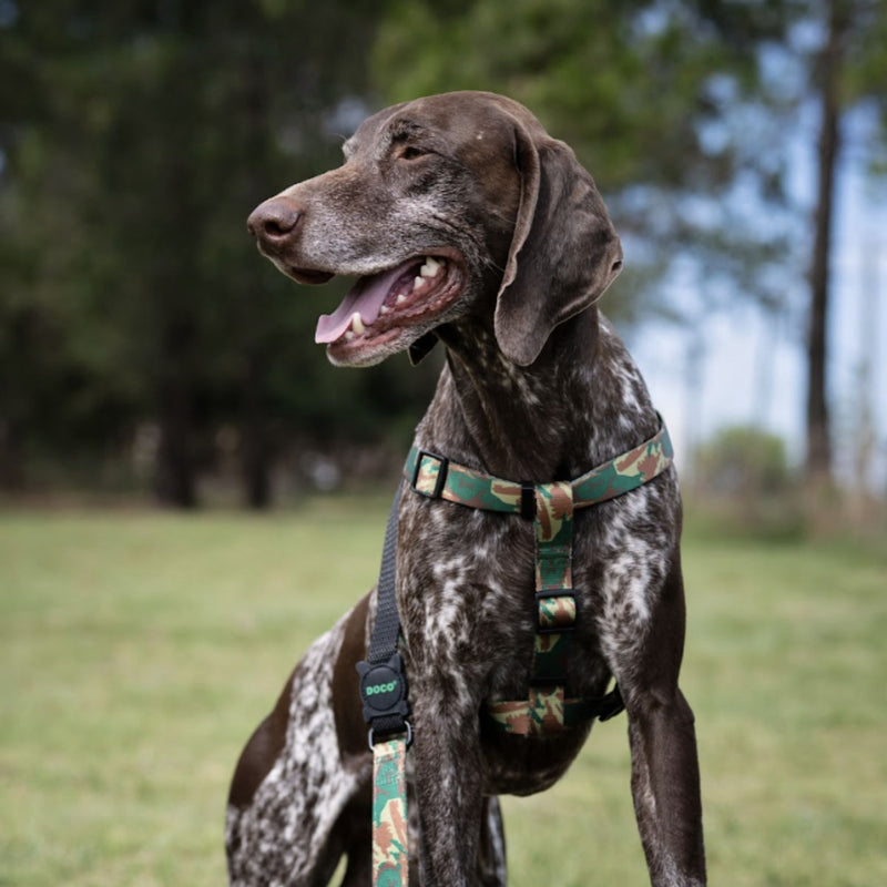 DOCO® LOCO Step-In Dog Harness