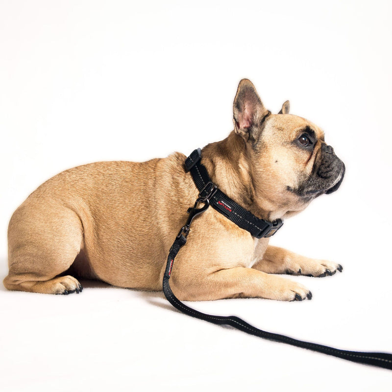 Dog's Life Supersoft Designer Webbing Comfortable & Reflective Dog Collar