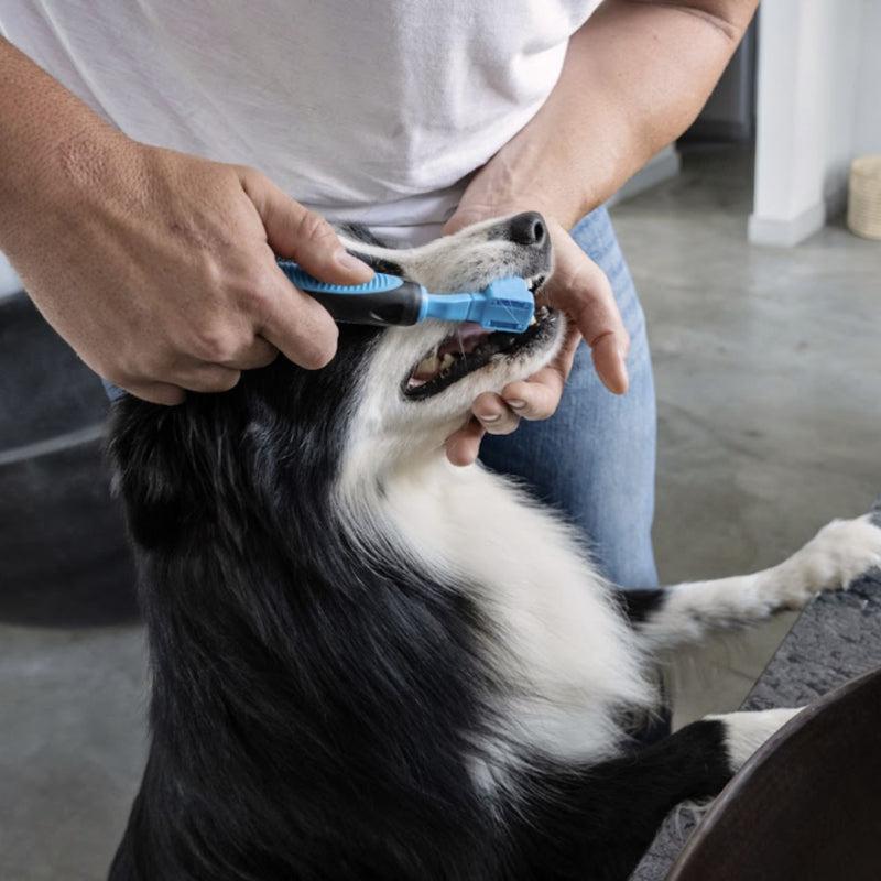 Zugo® 3-Sided Toothbrush