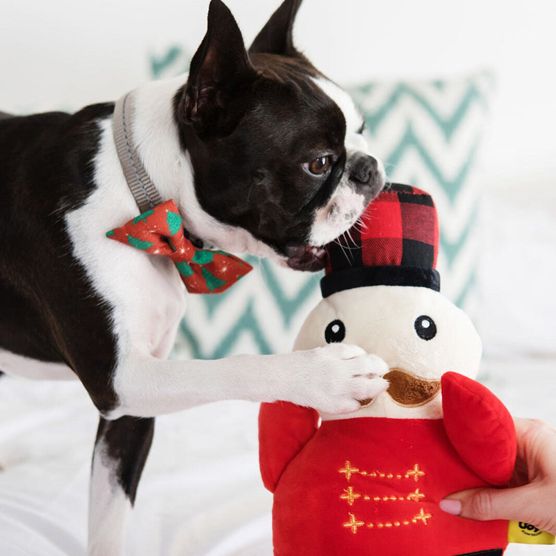 Dog’s Life Bow Tie – Christmas Trees Red