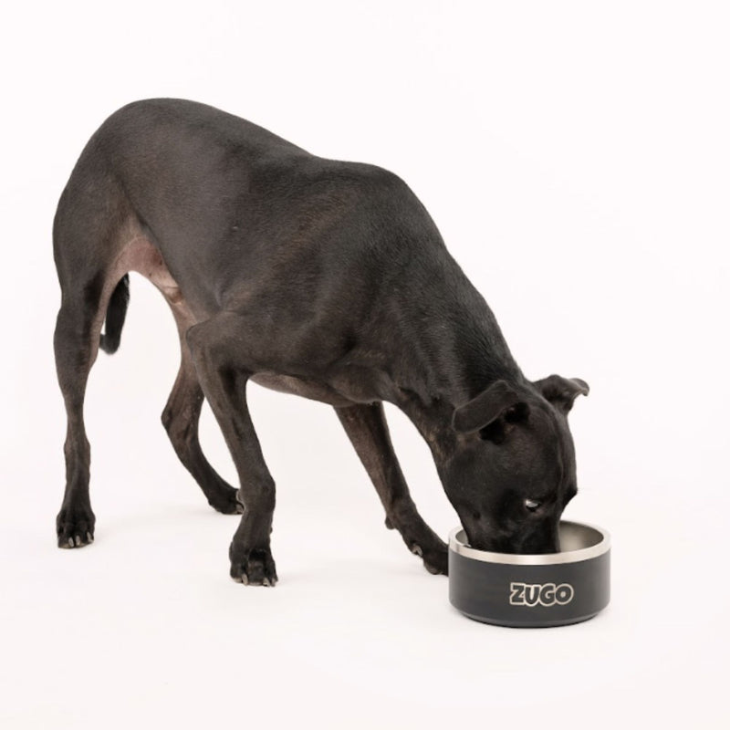 Zugo® ZuBowl Stainless Steel Dog Bowl