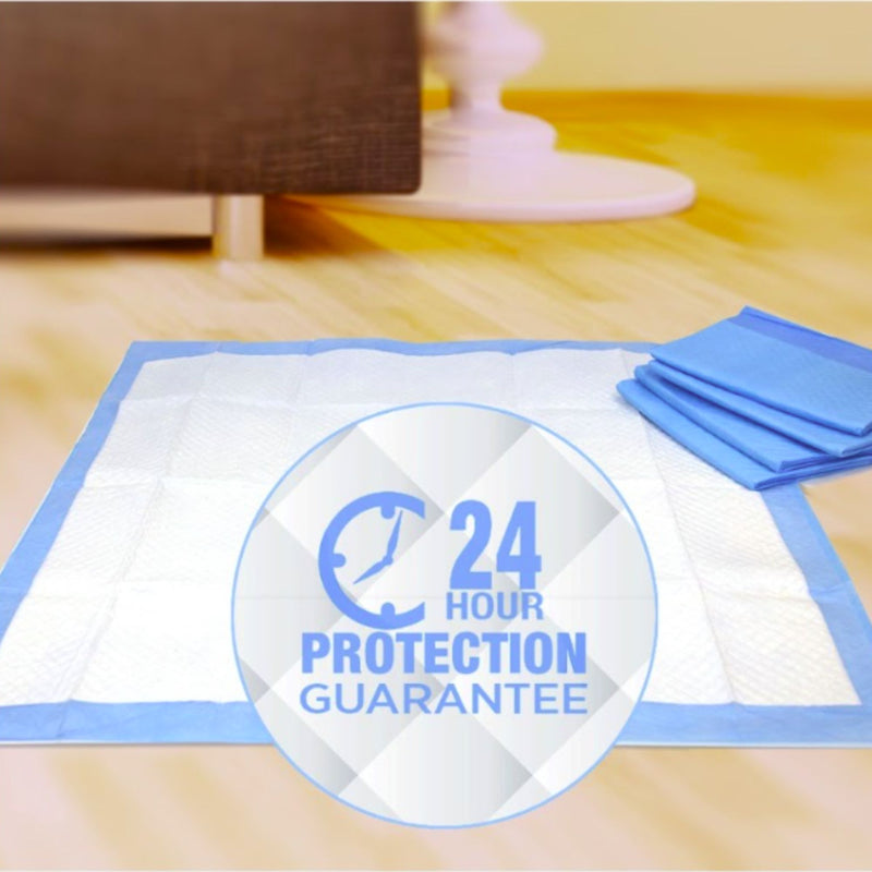 Wee-Wee Superior Performance Dog Training Pad