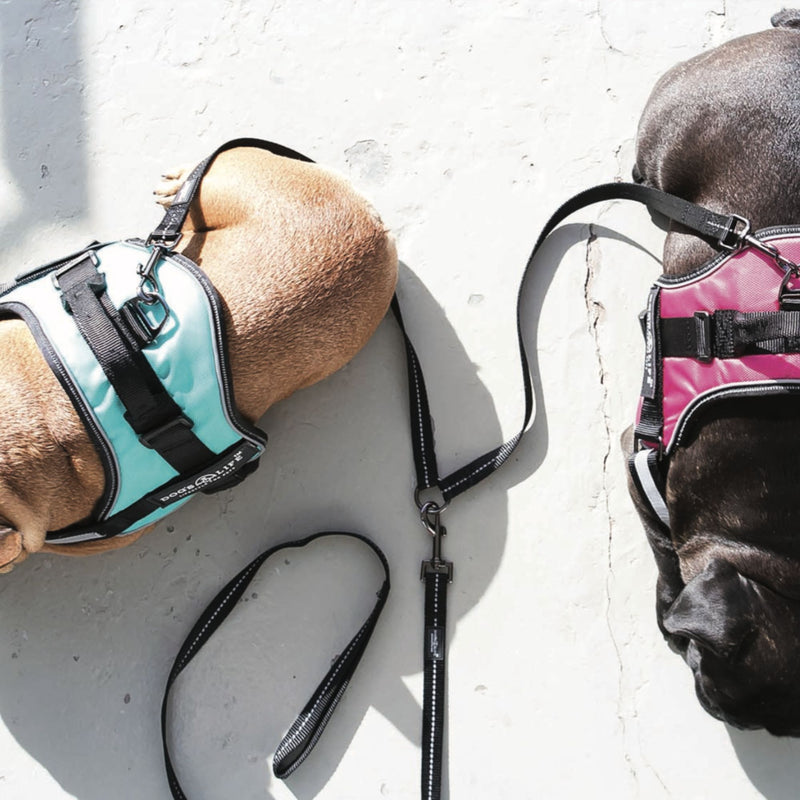 Dog's Life Double Coupler Lead Splitter